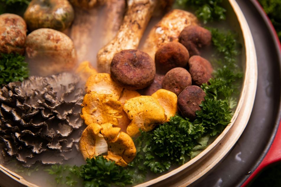 Fegato e funghi - detossificazione epatica con Reishi e Maitake
